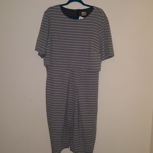 ASOS Curve Plus Size Wiggle Dress, Size 22 US